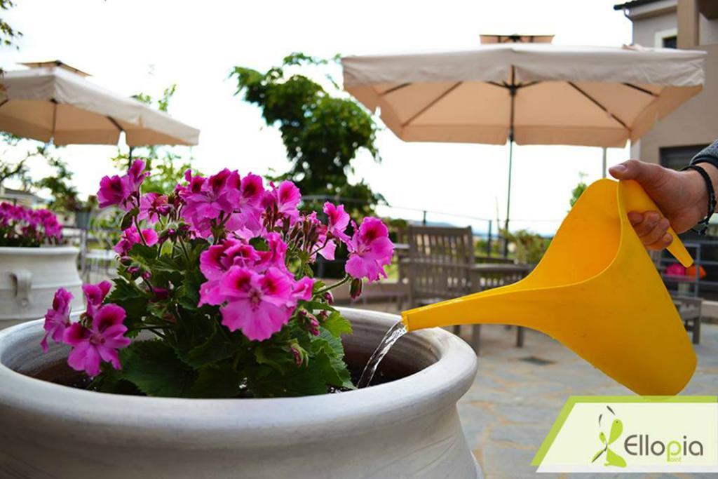 Ellopia Point Hotel Ioannina Extérieur photo