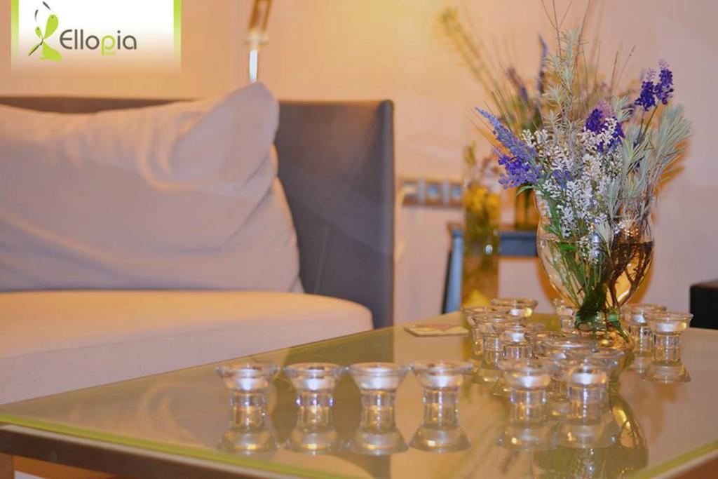 Ellopia Point Hotel Ioannina Extérieur photo