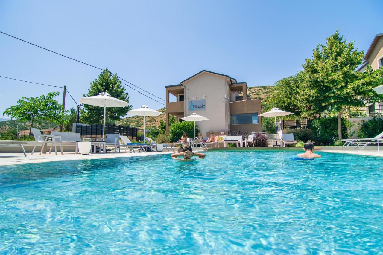 Ellopia Point Hotel Ioannina Extérieur photo